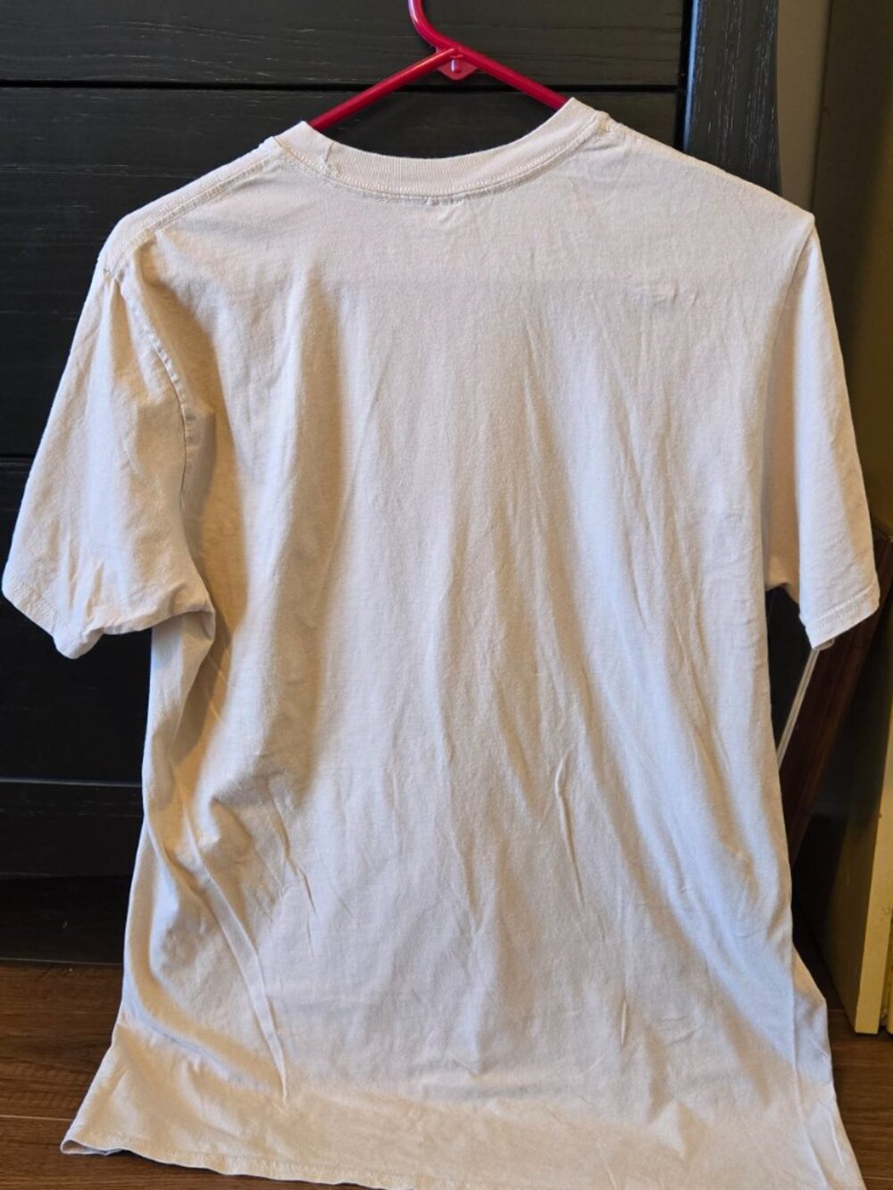 LP (Laura Pergolizzi) tour shirt large - Picture 2 of 4